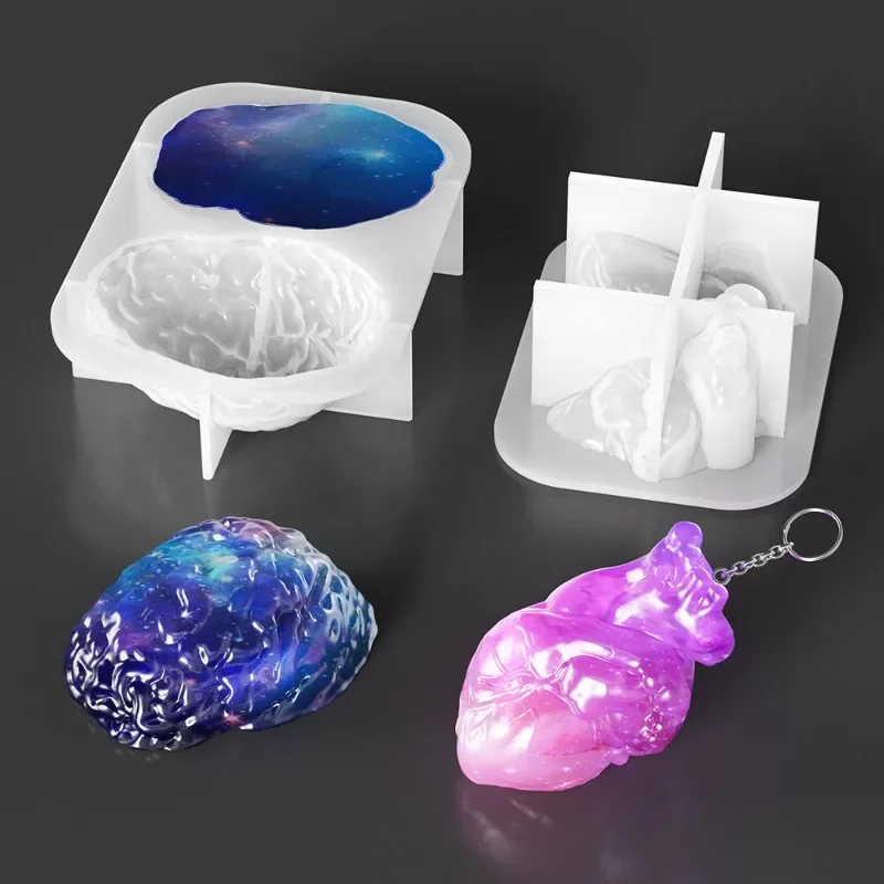 Silicone Molds Set Human Organ - Silicone Epoxy Resin Molds Set ulasan dan harga